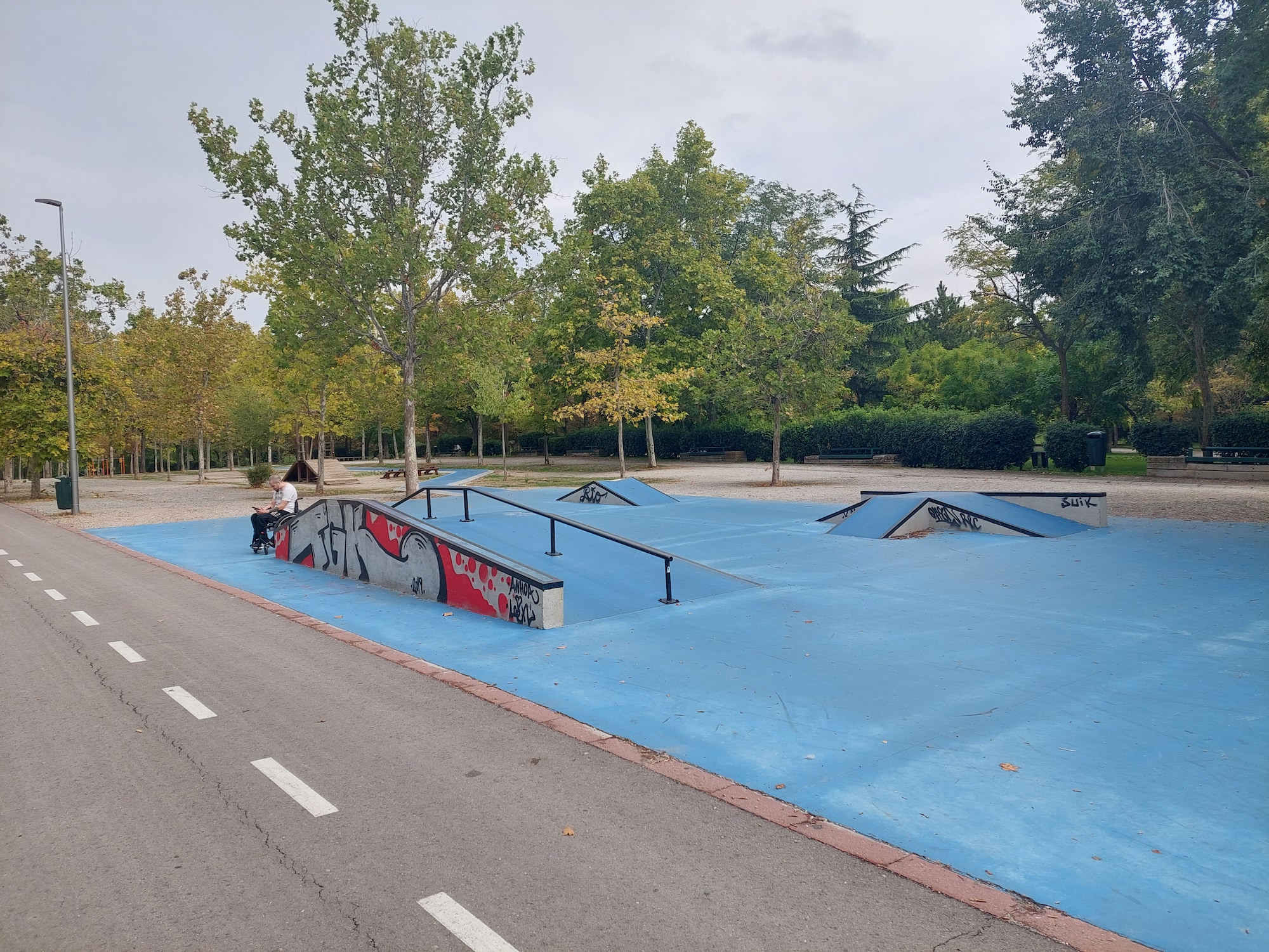Pavones skatepark